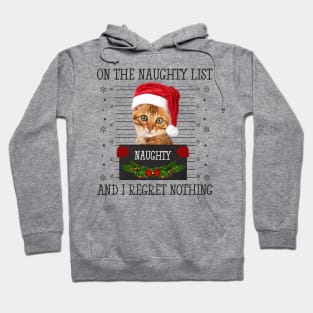 On The Naughty List, And I Regret Nothing Hoodie